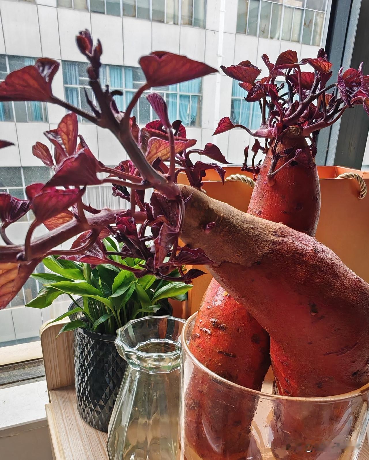 人间清欢，皆需自寻。

造化从不会将万般美好尽数捧至人前，世间温柔风物，贵在俯身