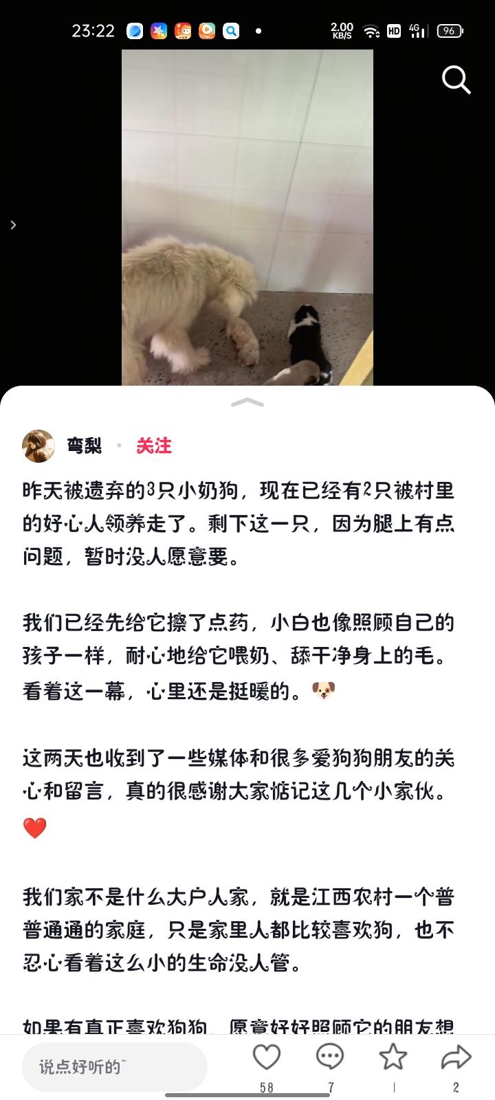 8月23日，上饶德兴市。网友发视频称，有陌生男子在院子里丢下三只小奶狗后仓皇逃去