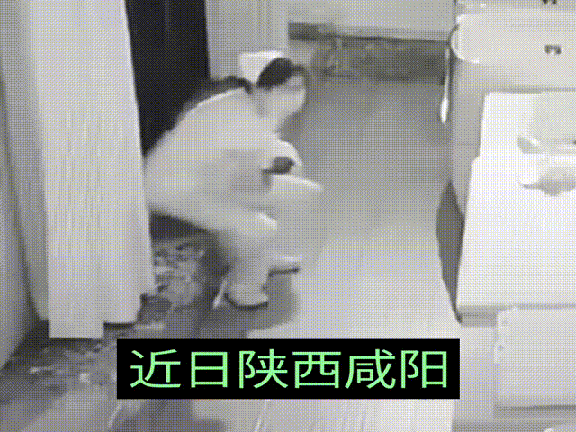 出生仅31天的娃娃竟然颅内出血?孩子妈妈调取月子中心监控，看到了震惊的一幕，忍不