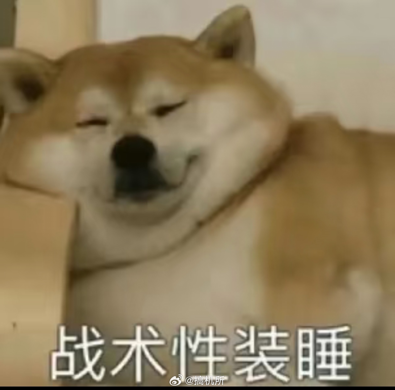 相亲型社交现在的相亲越来越像一场明码标价的双向挑选，条件、要求、优缺点摆上台面比