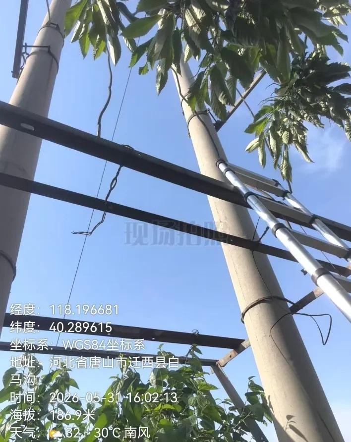 河北迁西县，40岁的李某怎么也没想到，朋友的一句“保证没电”，竟成了他留给17岁