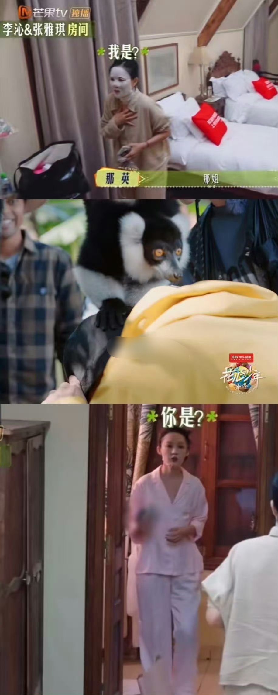 这季目前更新的这几期都追完了，非常好看，大家在一起相处的氛围特别好，喜欢群像的有