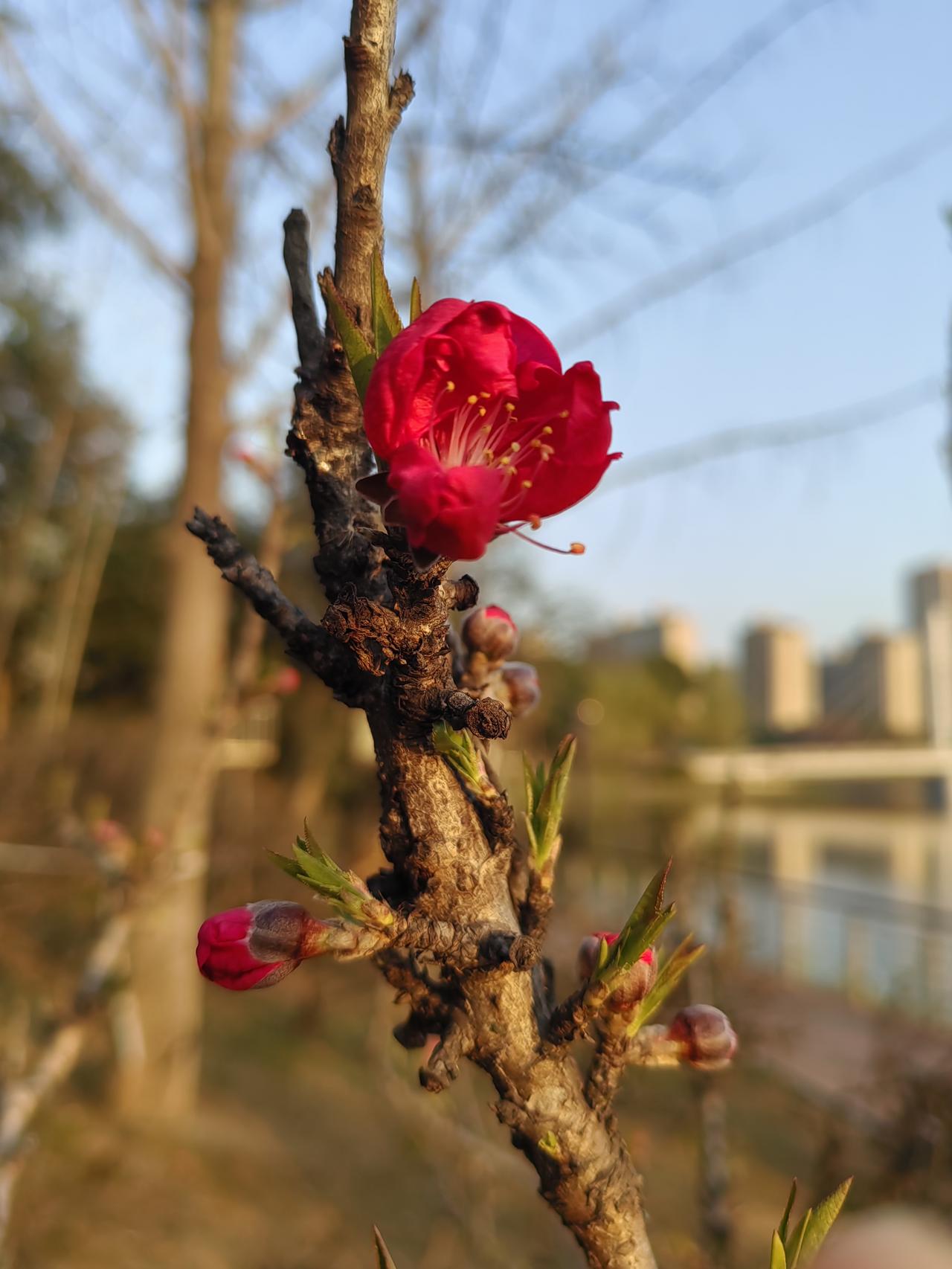 特别喜欢这两句话:
只要不活在别人眼里，
就不会死在别人嘴里。
主打一个不在乎，