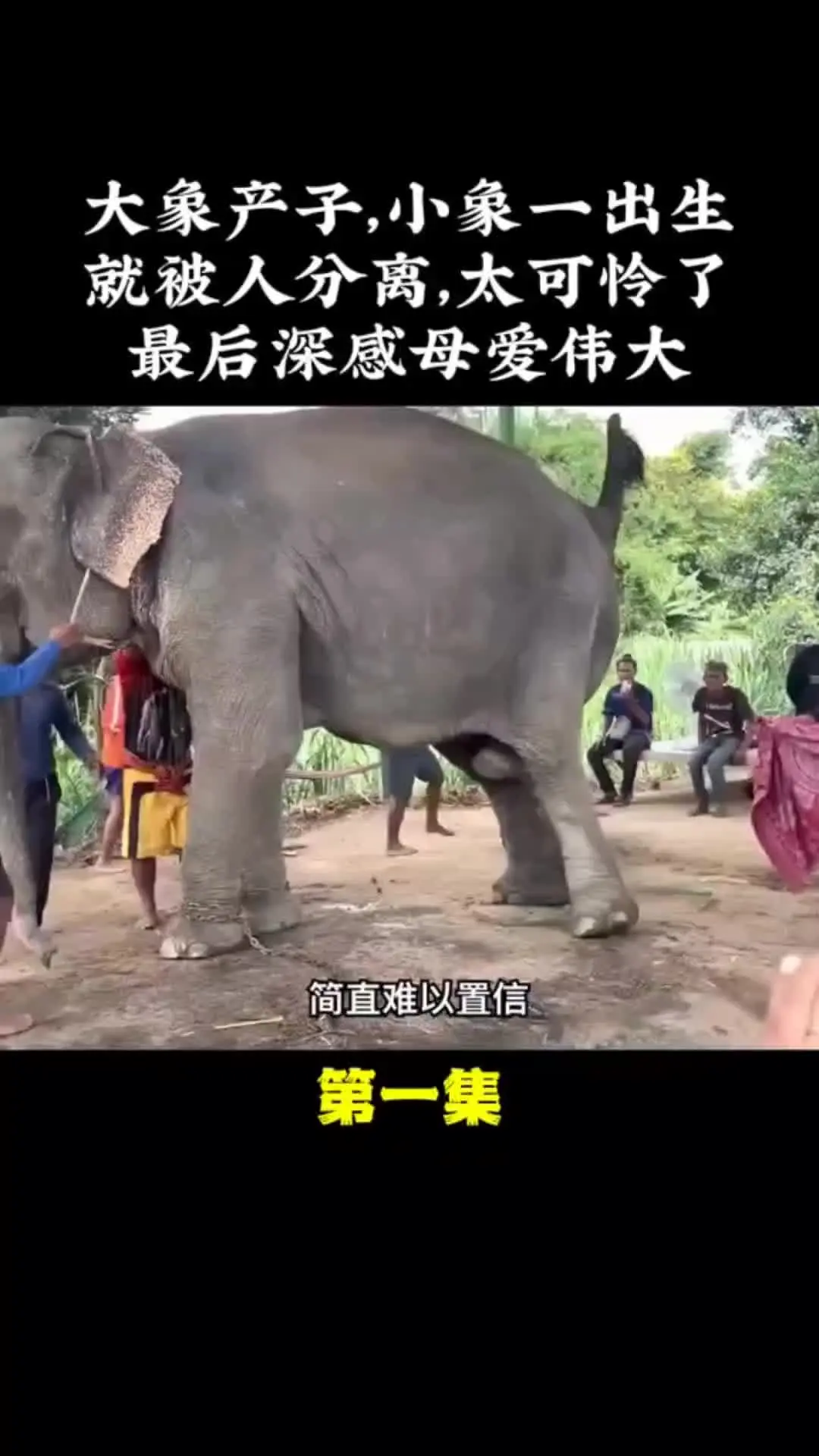 我的观影报告 内容启发搜索