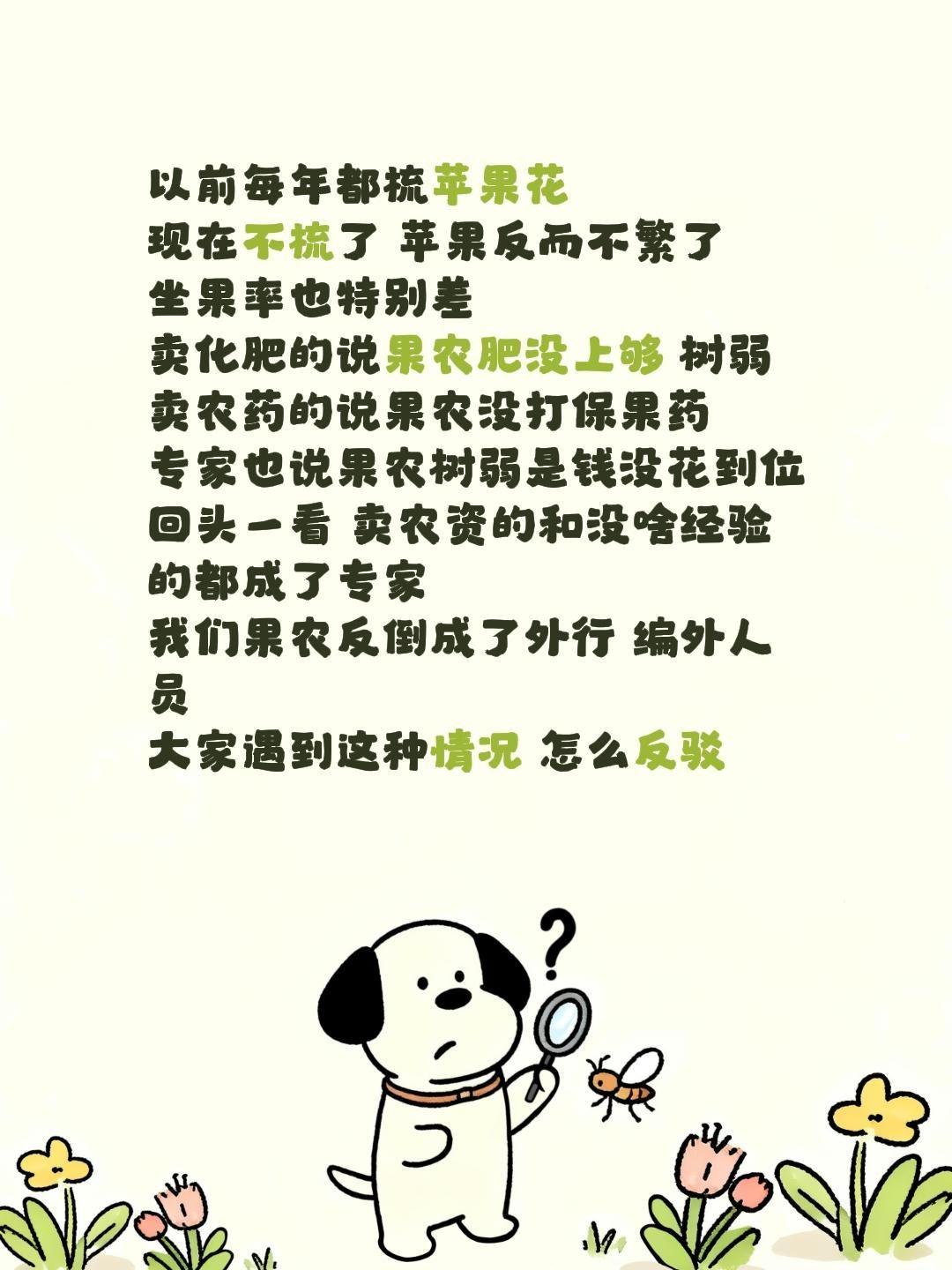 以前每年都梳苹果花
现在不梳了 苹果反而不繁了
坐果率也特别差
卖化肥的说果农肥