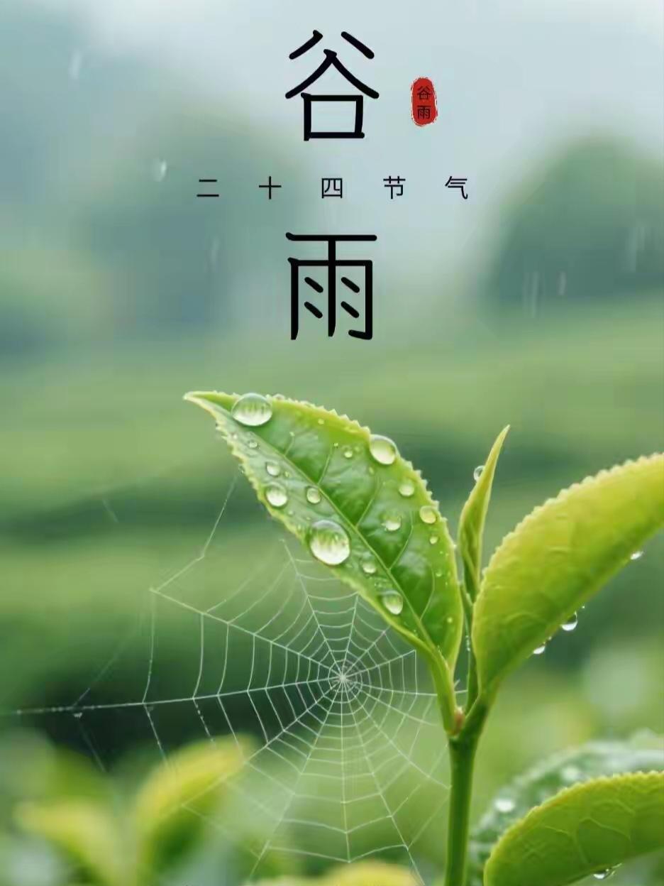 谷雨时节，是大自然一场浪漫的告别。作为春季最后一个节气，“雨生百谷”，带来蓬勃生