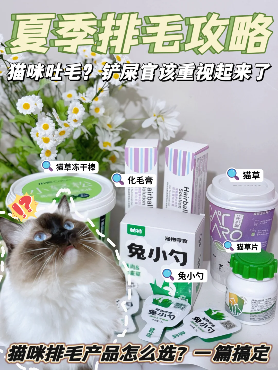 猫咪吐毛不可忽视！！化毛产品你选对了吗？