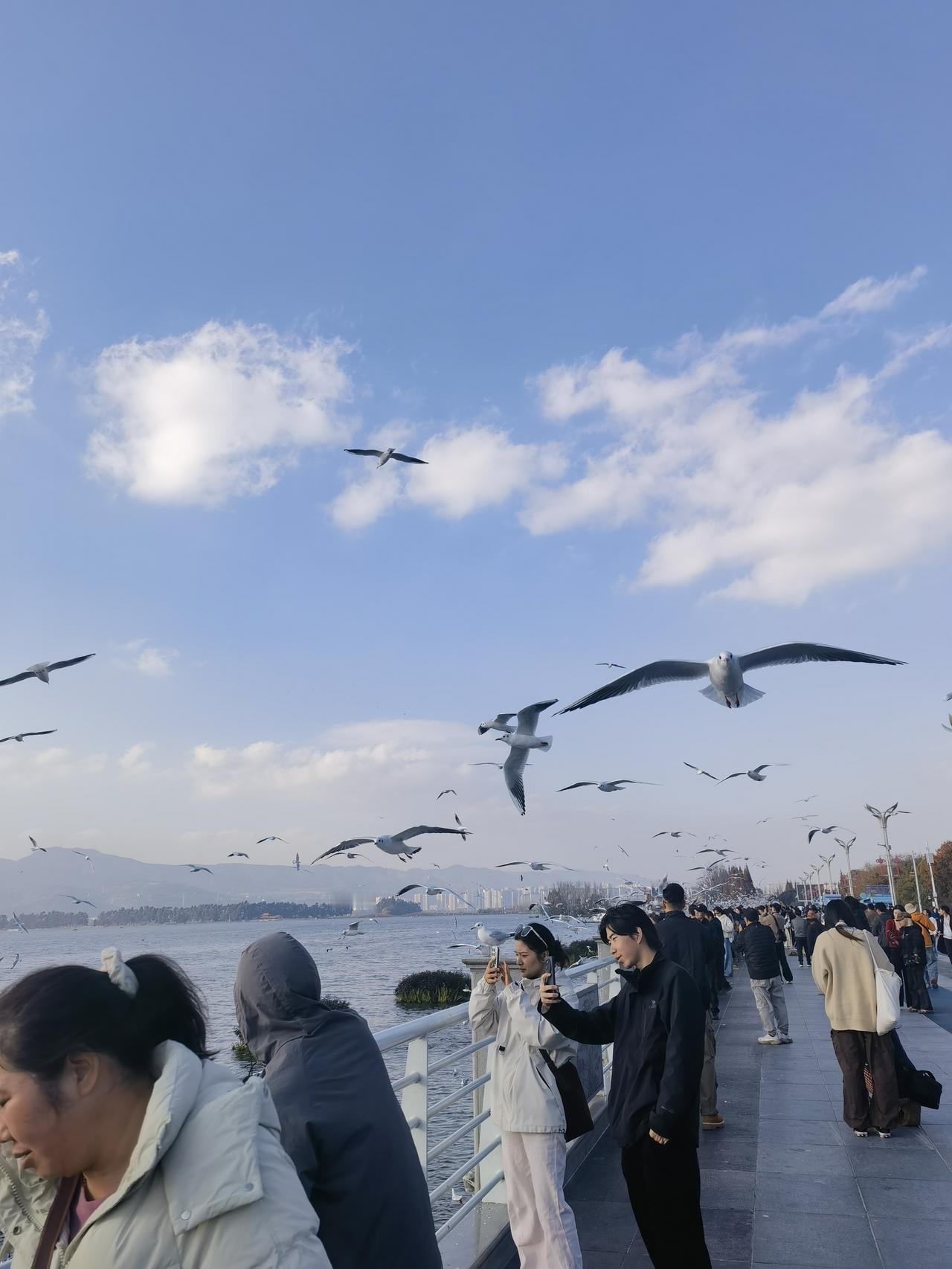 云南旅游系列篇（一）
标题：滇池
2025年12月3号，我和家人早早起床，开启了