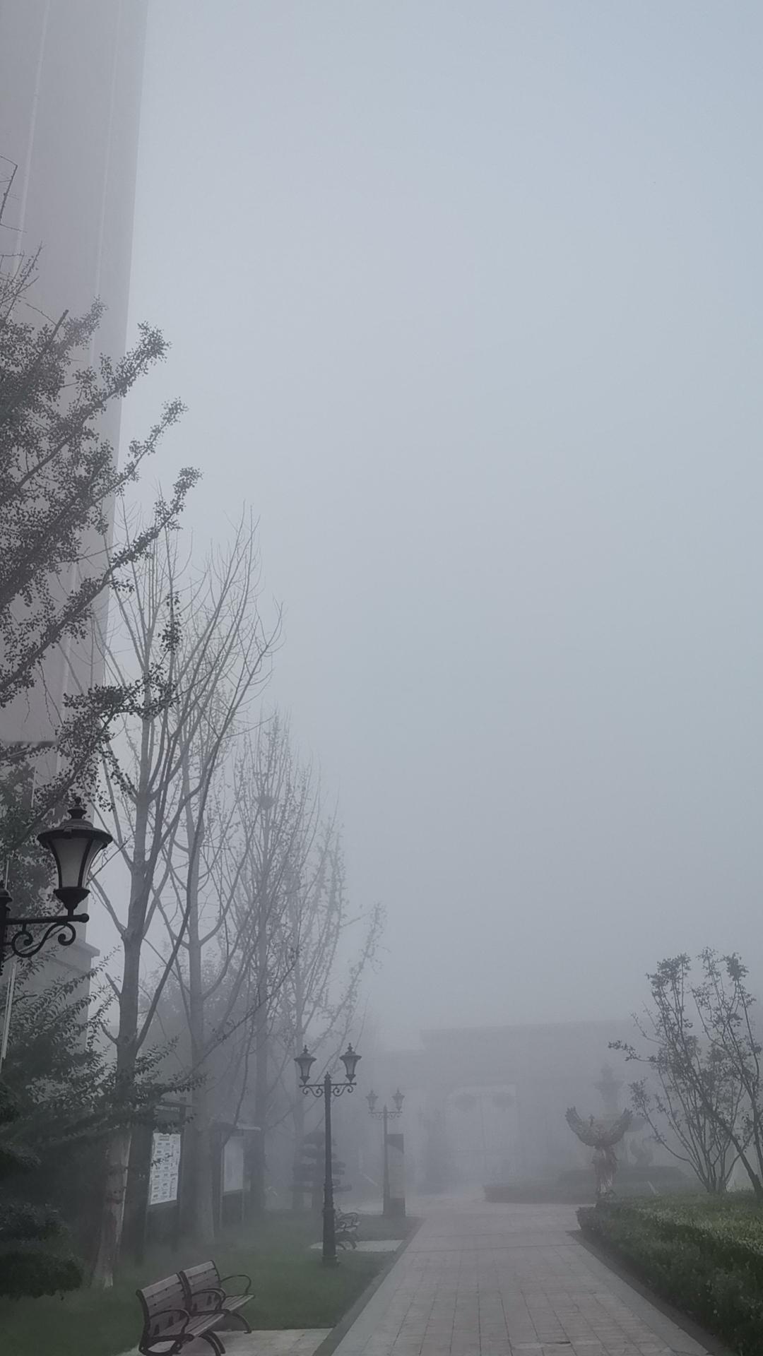 突然就这么大雾了，能见度太低，一定要注意安全啊…