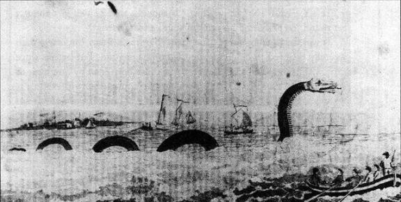 1851年，美国一艘捕鲸船，在南太平洋斩杀了一条30米长的蛇形巨兽，船长割下其头