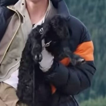 羡慕的泪水不自觉从嘴角流出。。 左航的快乐充能站 . ​​​