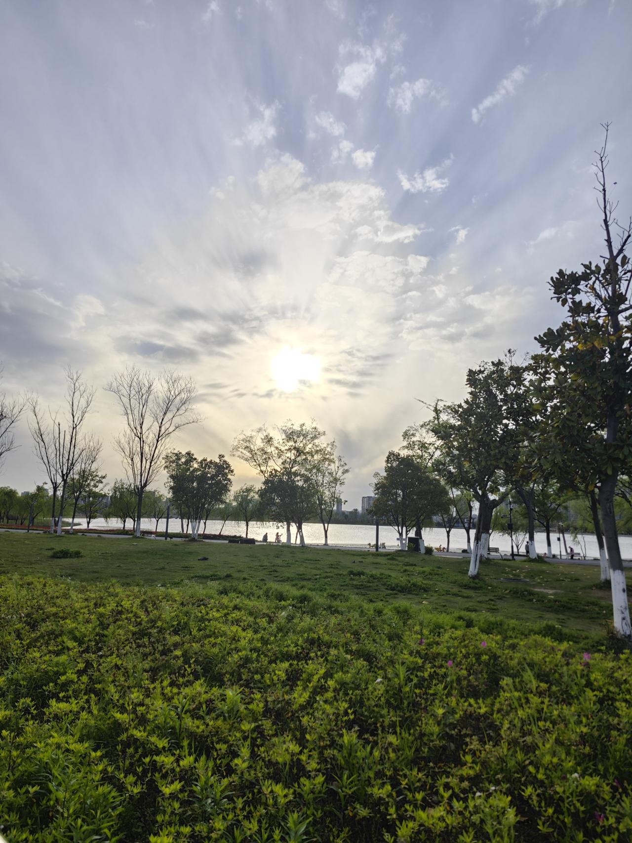 你是不是也这样：前半生拿命换钱，后半生拿钱买命？五十岁才懂，最傻不过如此。

最