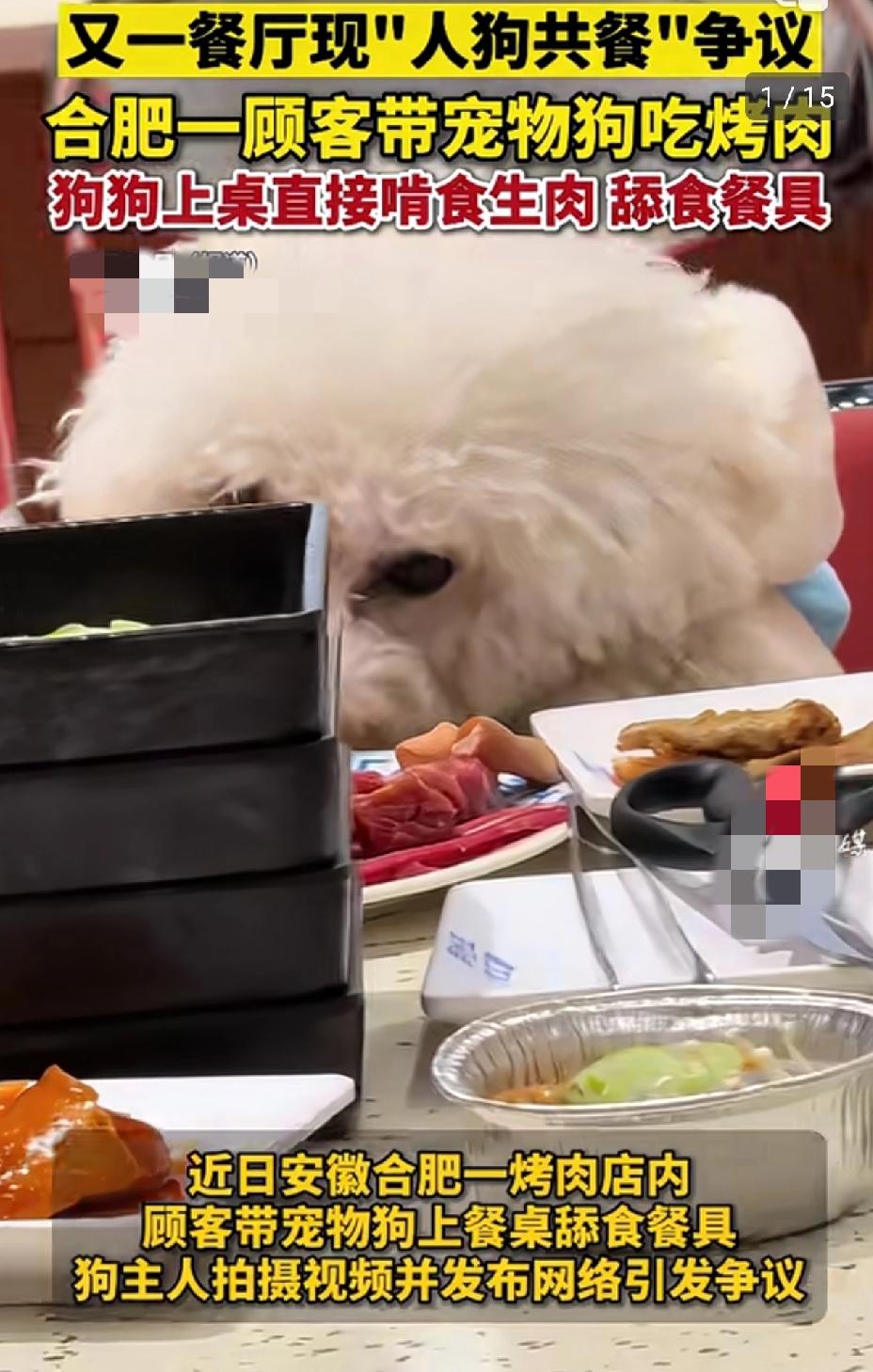 真的惊到了！合肥这家烤肉店怕是不想干了，居然让宠物狗上桌啃生肉，这操作直接把我看