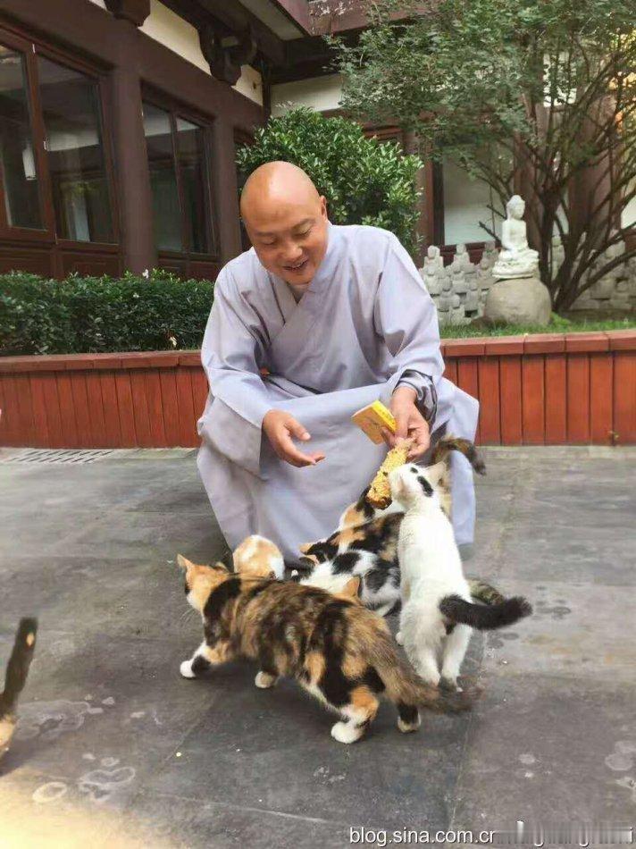 福分有三种，叫三福田，福田可生出福缘。第一福田：供养佛法僧三宝，叫敬田。第二福田
