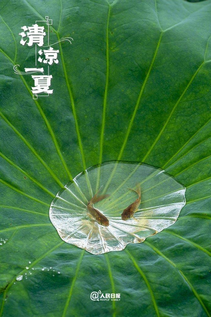 阳光信用🍀🍀🍀阳光信用 每日‬一善   善，乃万德之源，孝是百善之首。 善
