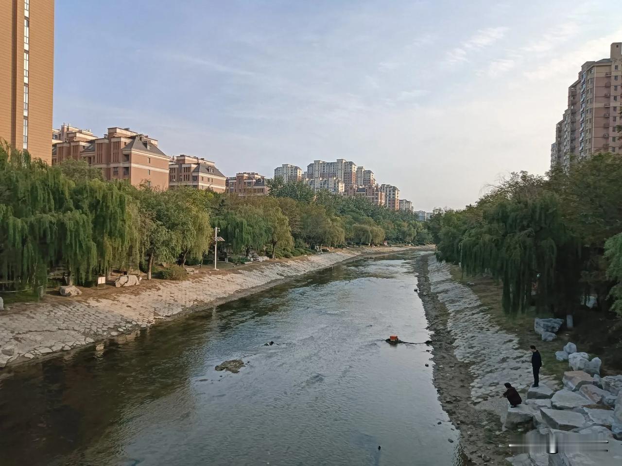 秋日，总是带着淡淡的诗意。它是落叶与风的舞蹈，是阳光与金桂的低语。快用你的镜头，