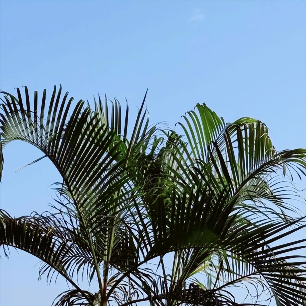 退休4年多、濮阳市人大原官员马宜品的新闻   公开披露
 
12月22日下午4: