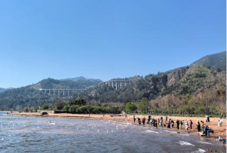 规矩可能真的要改改了，我们对其他国家的免签太宽容了，我们需要的是能消费的人，而不