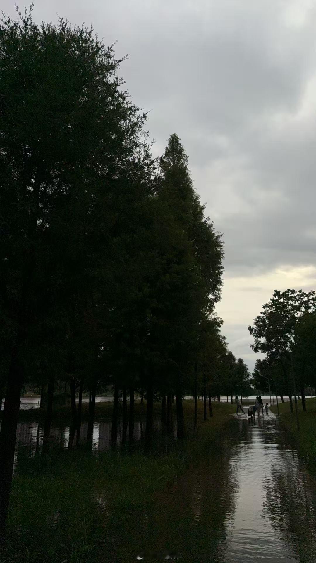 赣州早安 种一棵树最好的时间是十年前，其次是现在。别给自己设限，别总说来不及，如
