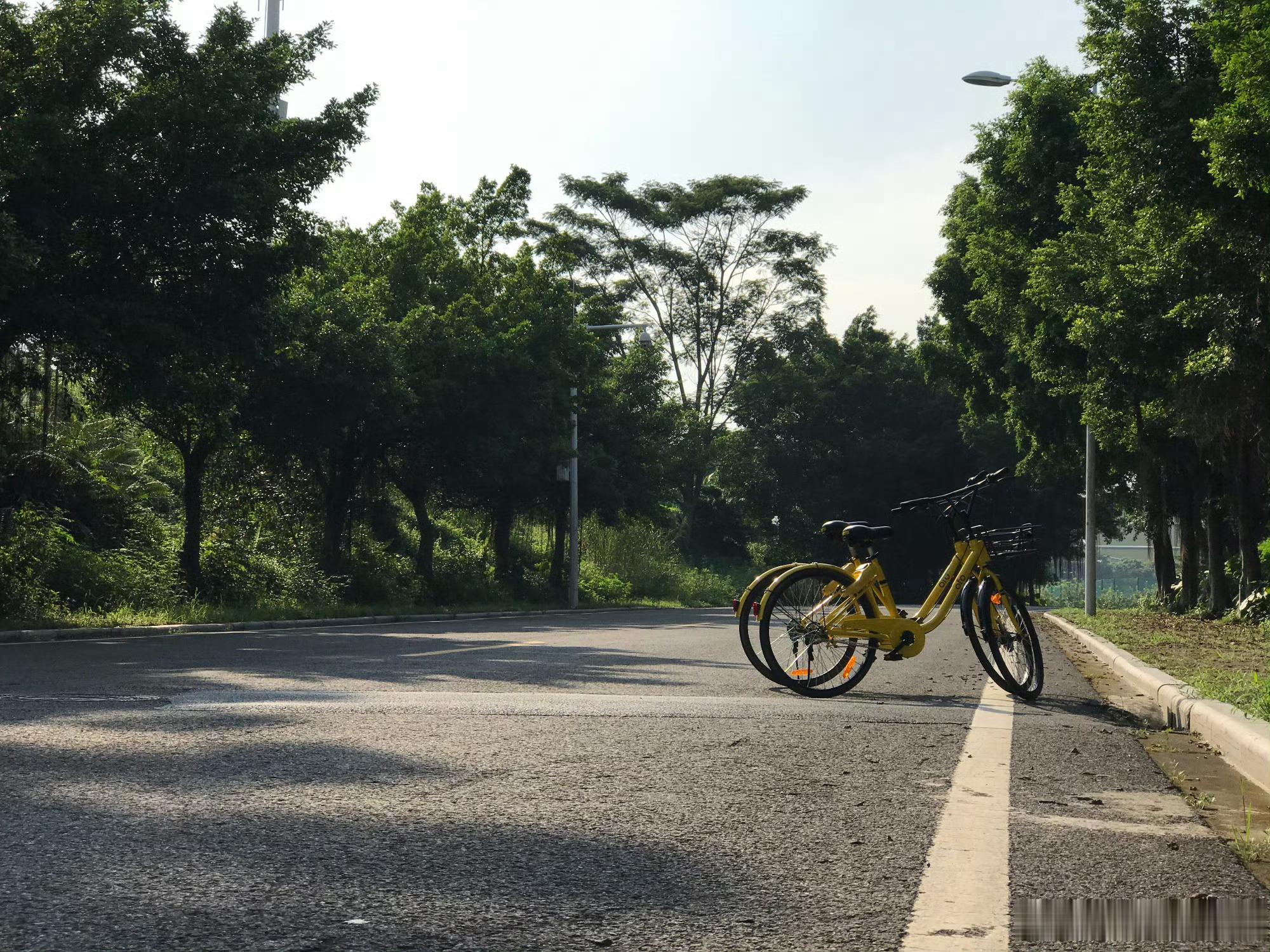 ofo小黄车账号停更5年突然发文干嘛突然提醒我，我的押金也贡献出去…上一次骑共享