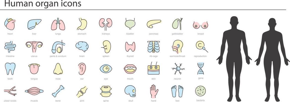 哈佛大学太平间遗体器官被盗，牵出全国性人体遗骸交易网络，人皮被装成书，人脸被做成
