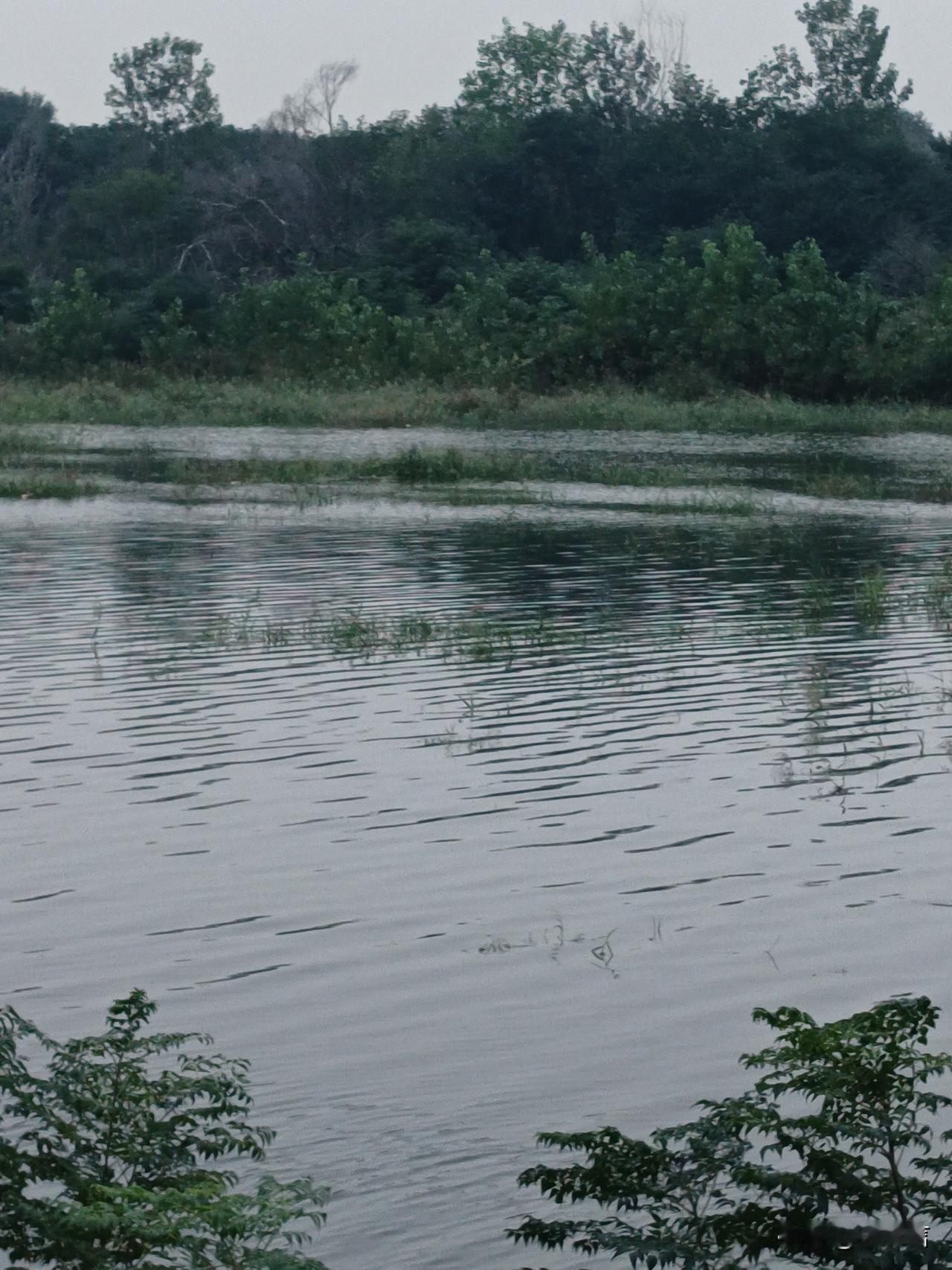 白河之湄  览物之情
（十七）、一川水澹澹，波光明如练

（昨日雨已歇，云未开，