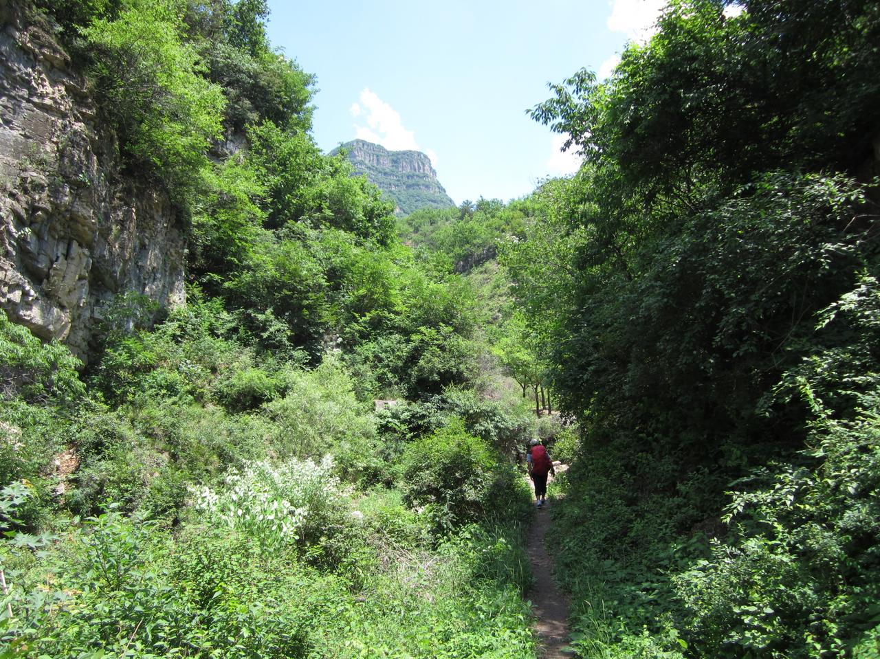 小以又要疯狂了啊，小以表示已经做好与波斯猫全面战争，并且小以表示要消灭波斯猫内伊