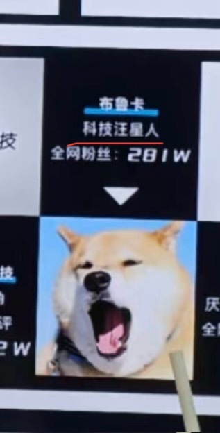 [苦涩]今天终于知道了，我在第三方公关公司介绍材料里叫：科技汪星人 ​​​