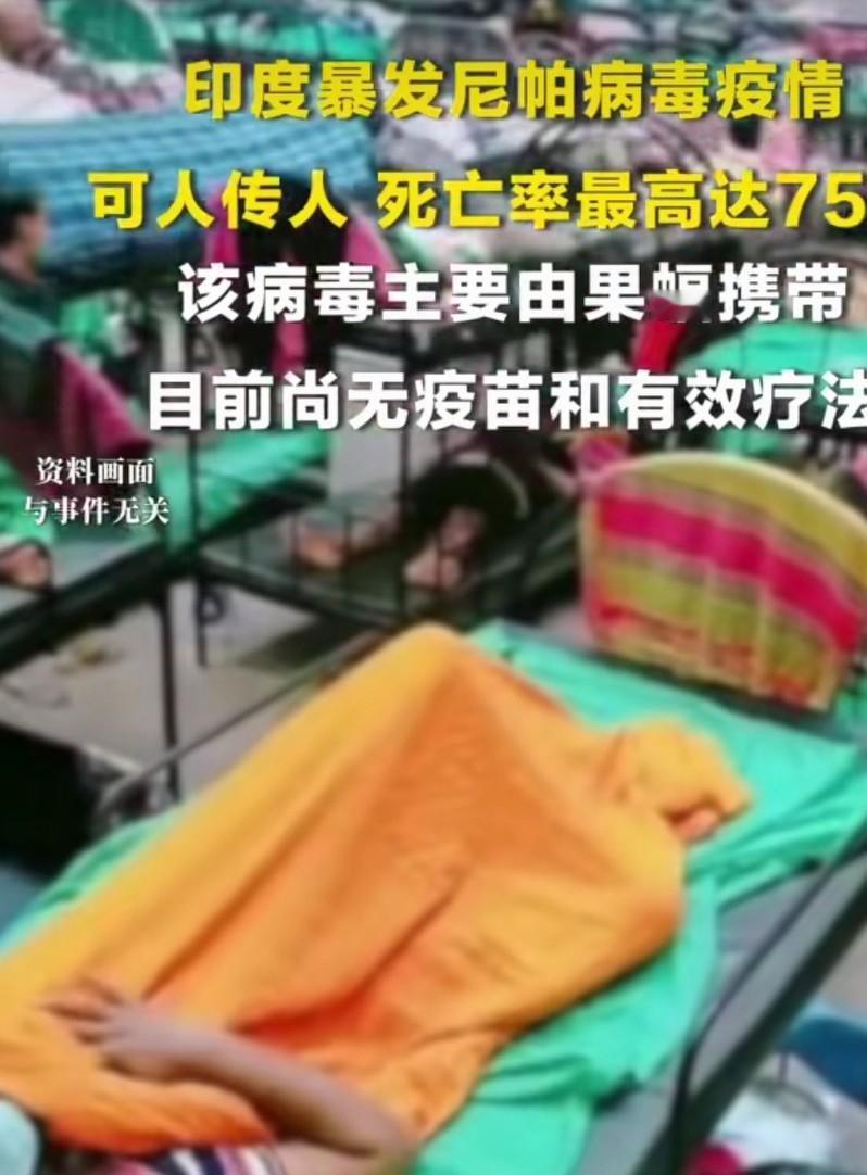 印度爆发的尼帕病毒是因为一个女护士喝了椰枣上面的蝙蝠吃过的椰枣汁传染上的，又是蝙