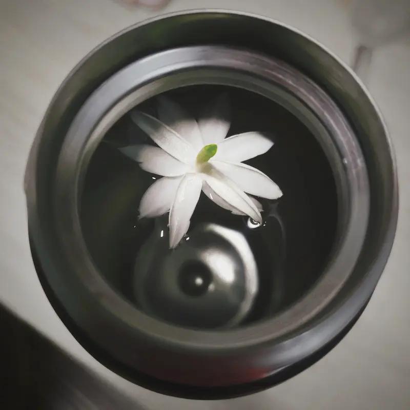 养生真没那么复杂，别整那些昂贵补品和繁琐仪式，顺应自然融入日常才是王道。
晨起喝