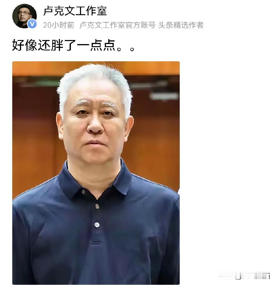 卢克文说的没错，
许家印进去之后反倒胖了？
从开庭的画面来看，他的脸确实比以前圆