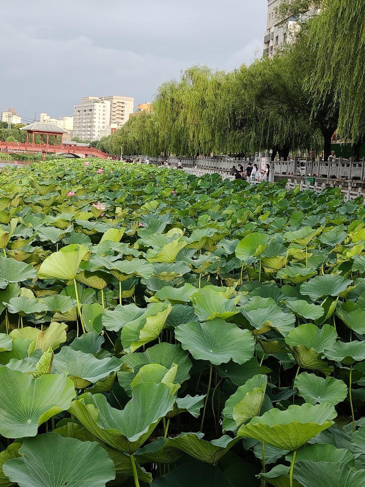 我认为上班，那么大的心，不做那么大的难，比较安稳。