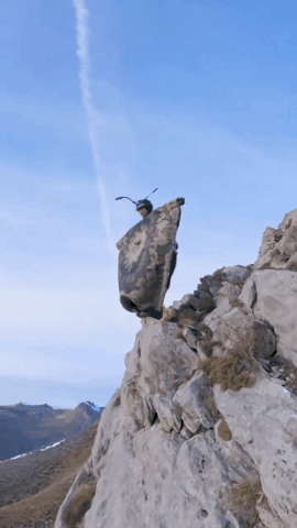 外国人少系列：牛人用毯子代替专业翼装飞行，上演现实版“阿拉丁魔毯”

法国定点跳