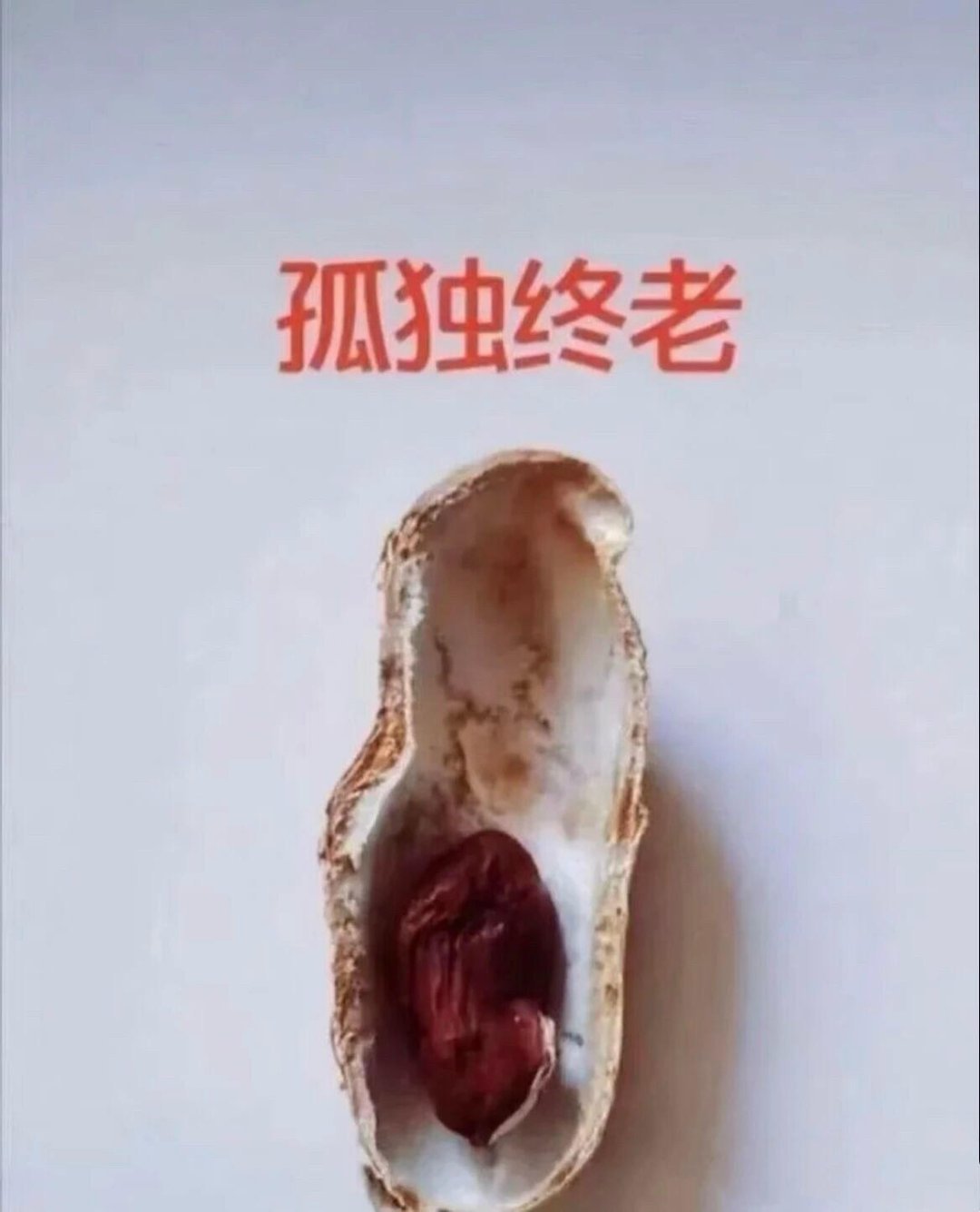 太形象了！一颗花生🥜像极了人的一生……太形象了！一颗花生，像极了人的一生。最近
