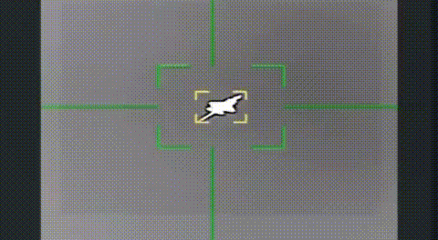 伊朗伊斯兰革命卫队（IRGC）发布声明并附上视频，声称在伊朗上空用地对空导弹击落