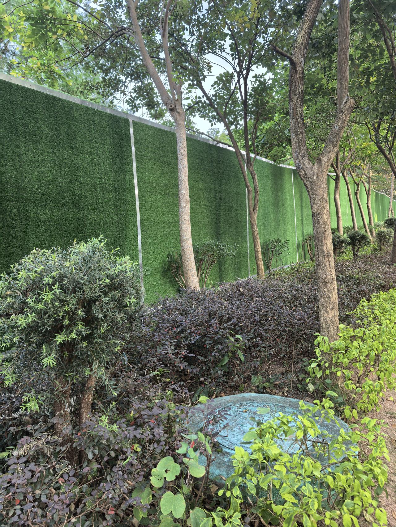 深圳的遮羞墙本身就是一道美丽的风景。远看与绿树融为一体，近观色调柔和很养眼。