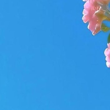 阳光信用‎阳光‎信用 ‎每日一善  能为别人开花的心是善良的心，能为别人缤纷的赞
