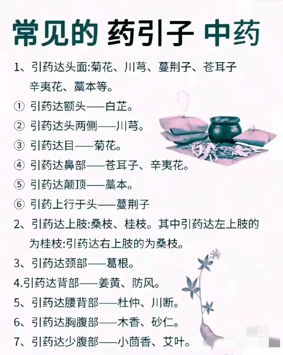 听说中医治病时，少了药引子功效减半，有了药引子则事半功倍。你是否好奇，治常见病的