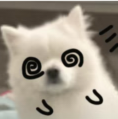狗子晕晕的 
