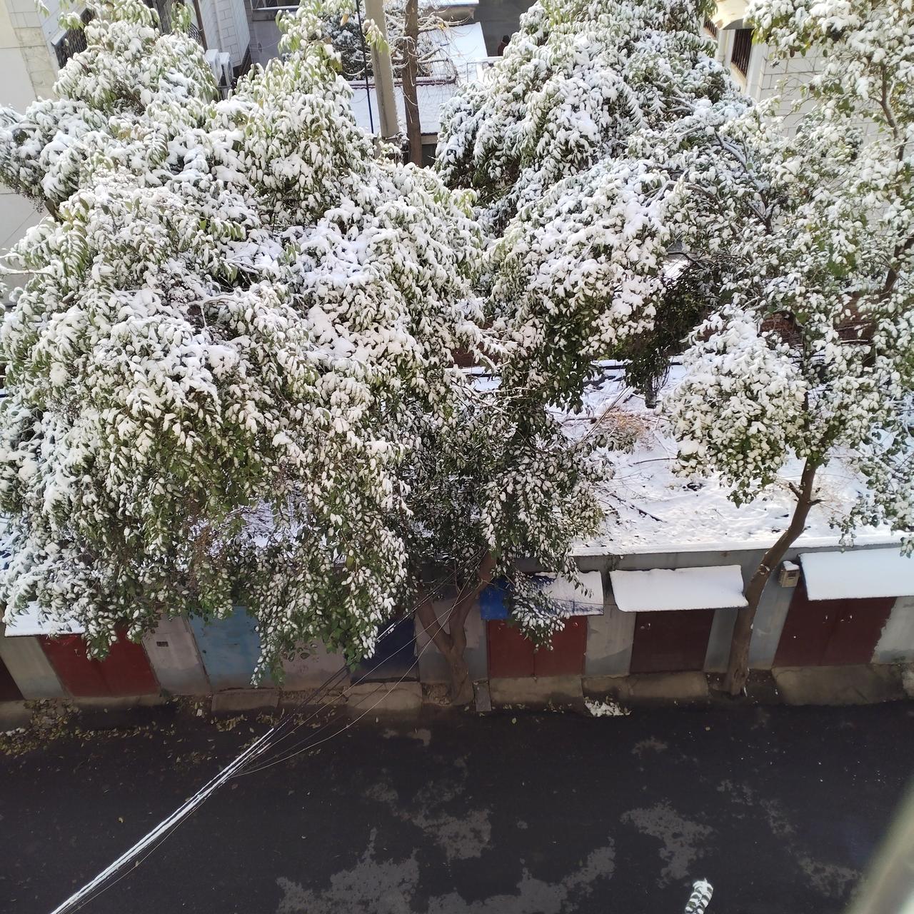 有寒冷的时候，有温暖的时候。
有西北风冰冷刺骨，
也有暖阳熏得昏昏欲睡。