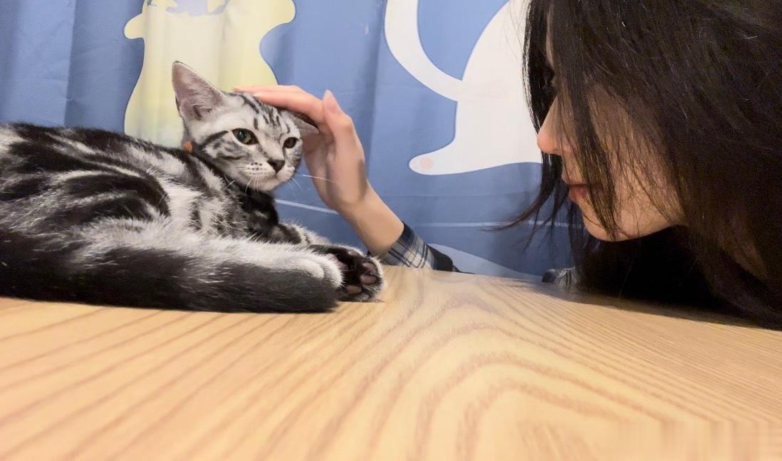 猫猫🥰 ​​​