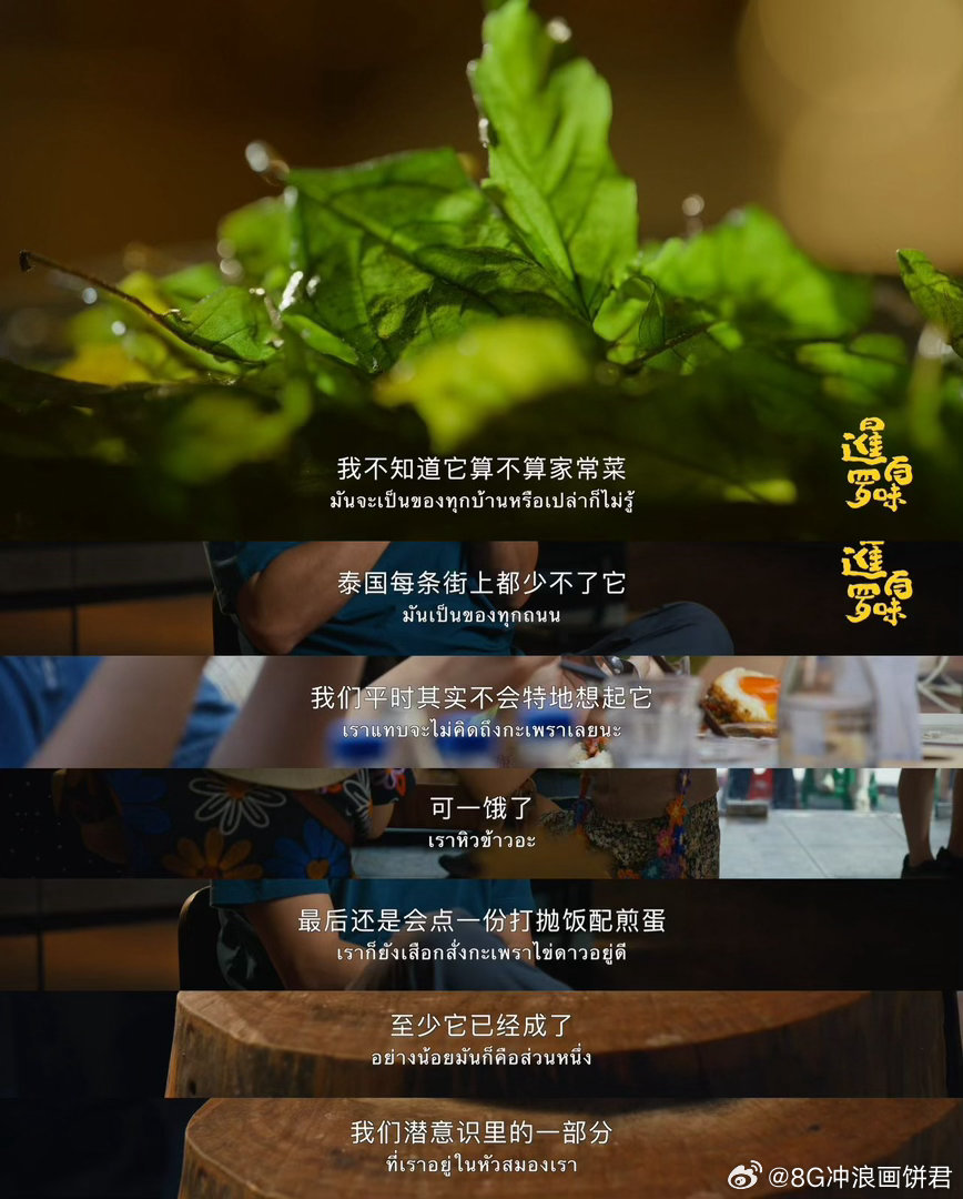 泰国打抛饭才是社畜之光  比起精致但冷漠的工作餐，我更爱这碗烟火气十足的打抛饭。