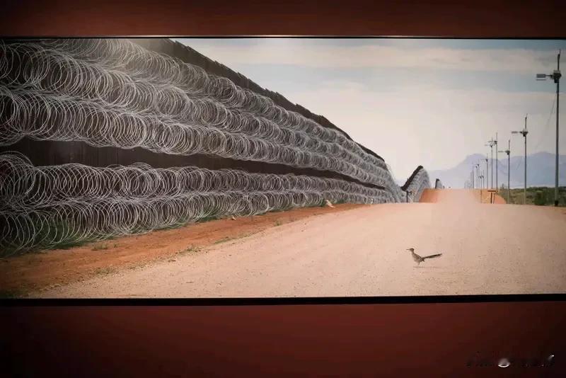 专家：日本从地面到太空的激进扩军 专家：日本从地面到太空激进扩军
日本欲搞大事情