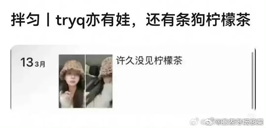 🧹的狗叫柠檬茶，田栩宁粉丝名叫柠檬水，而且粉丝本来投票是栩愿星票数最高，但最后