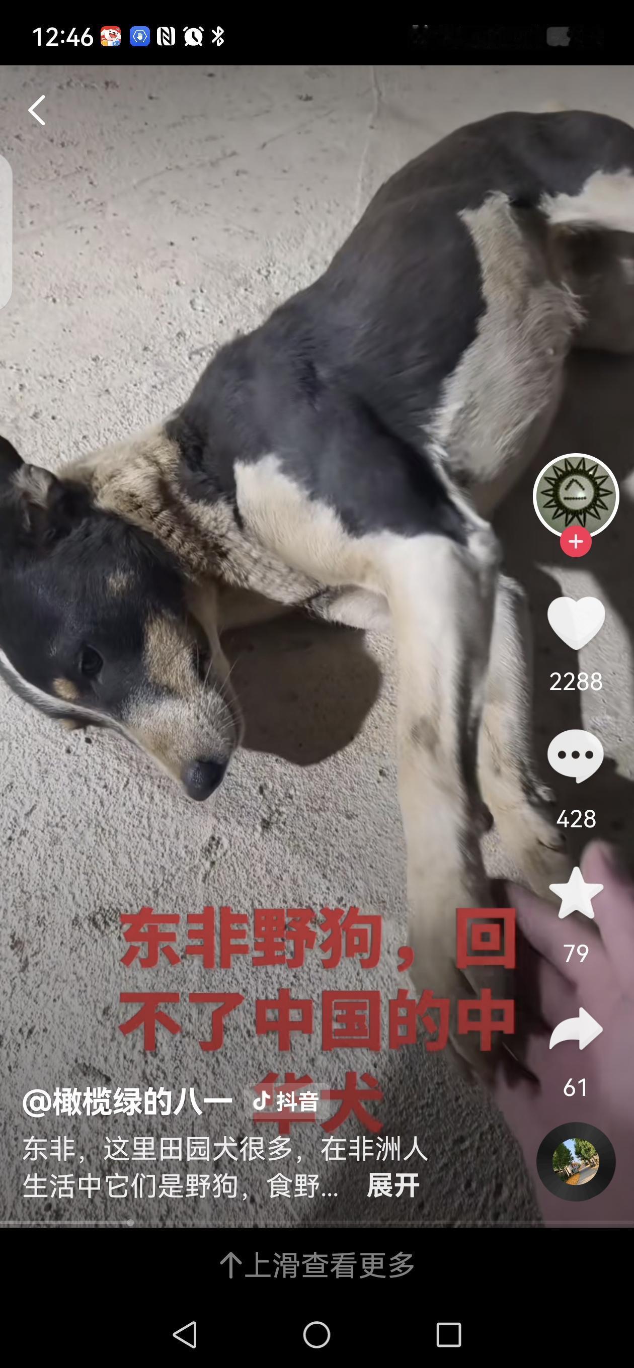 【听到中国成功就想贬低几句，听到西方成功就想夸赞几句，建议去检查一下基因】

最