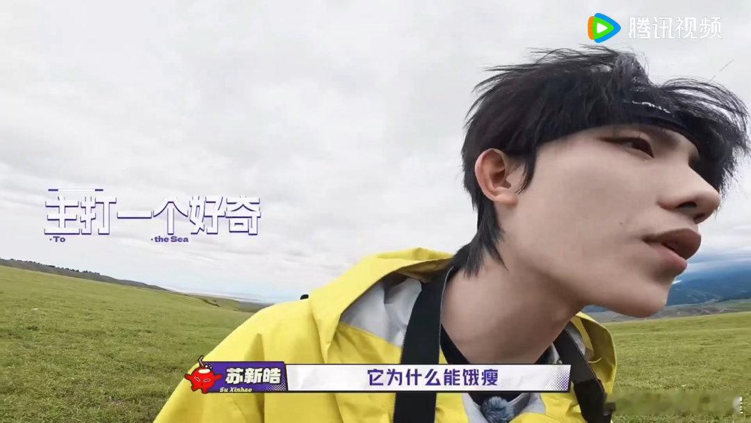 苏新皓十万个为什么苏新皓好奇宝宝也太可爱了吧，脑子里全是奇奇怪怪的小疑问，追着问