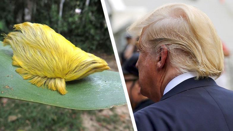 特朗普这操作，堪称国际版“精分现场”：3月31日刚对着镜头深情款款地说“对伊行动