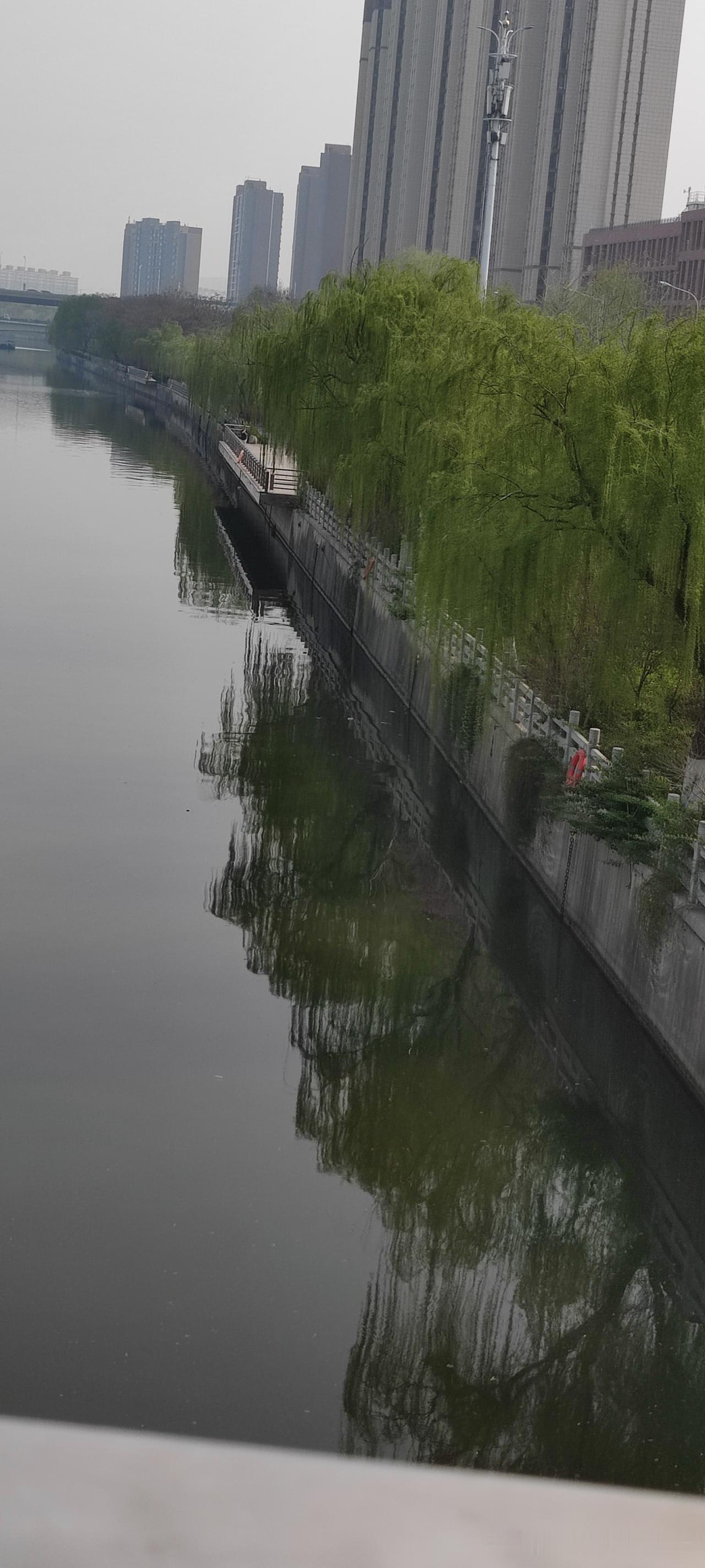 说实话，
我一点都不怀念没手机的日子。
 
总有人说以前多好，不用抱着手机，日子