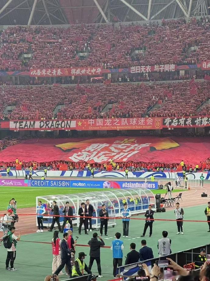 大莲花撑起了最有态度的国足应援TIFO每一次进攻背后，都是球迷们热情的呐喊和支持