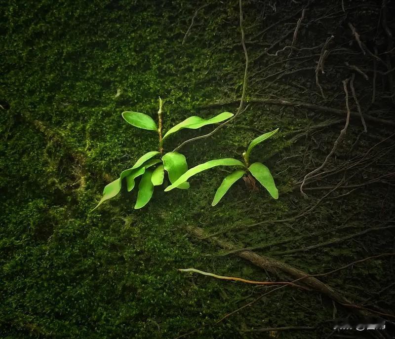 告别沉没过往，奔赴全新先机

人生漫漫，步履匆匆，我们总在不经意间，被过往的付出